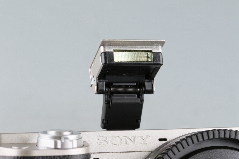 Sony α6000/a6000 + E PZ 16-50mm F/3.5-5.6 OSS Lens *Japanese Version Only* #50962F3_画像7