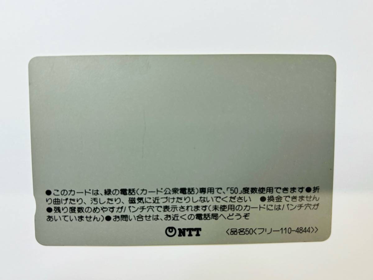 6035-1】　★1円スタート　おニャン子クラブ　テレフォンカード 50度数 未使用_画像2