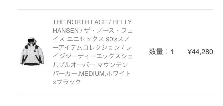 ☆国内正規品 Mサイズ☆ THE NORTH FACE RAGE GTX Shell Pullover WK