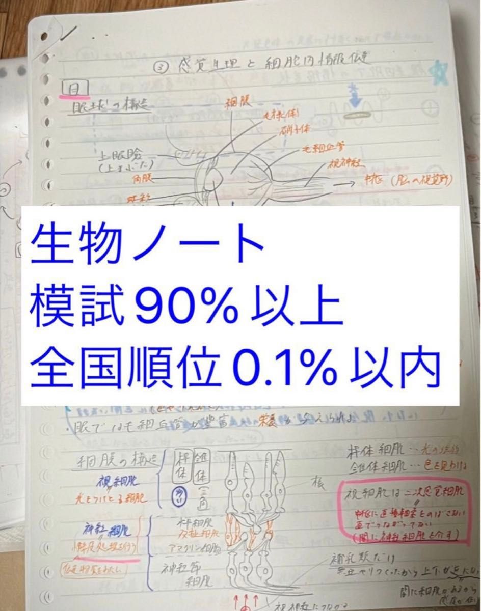 薬剤師国家試験　ノート　薬剤師　過去問　模試　生物　薬ゼミ　機能形態学　生化学