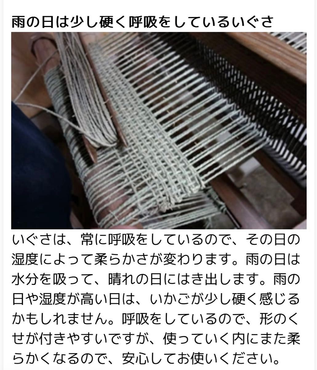 新品/岡山県倉敷市創業1886年須浪亨いかごバック(中)トート日本産お買物バック