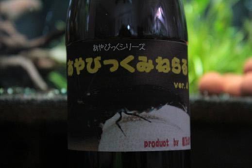 綾乃えび オリジナルサプリ『あやびっくみねらる・ぱうだー』_商品にラベルは付きません。