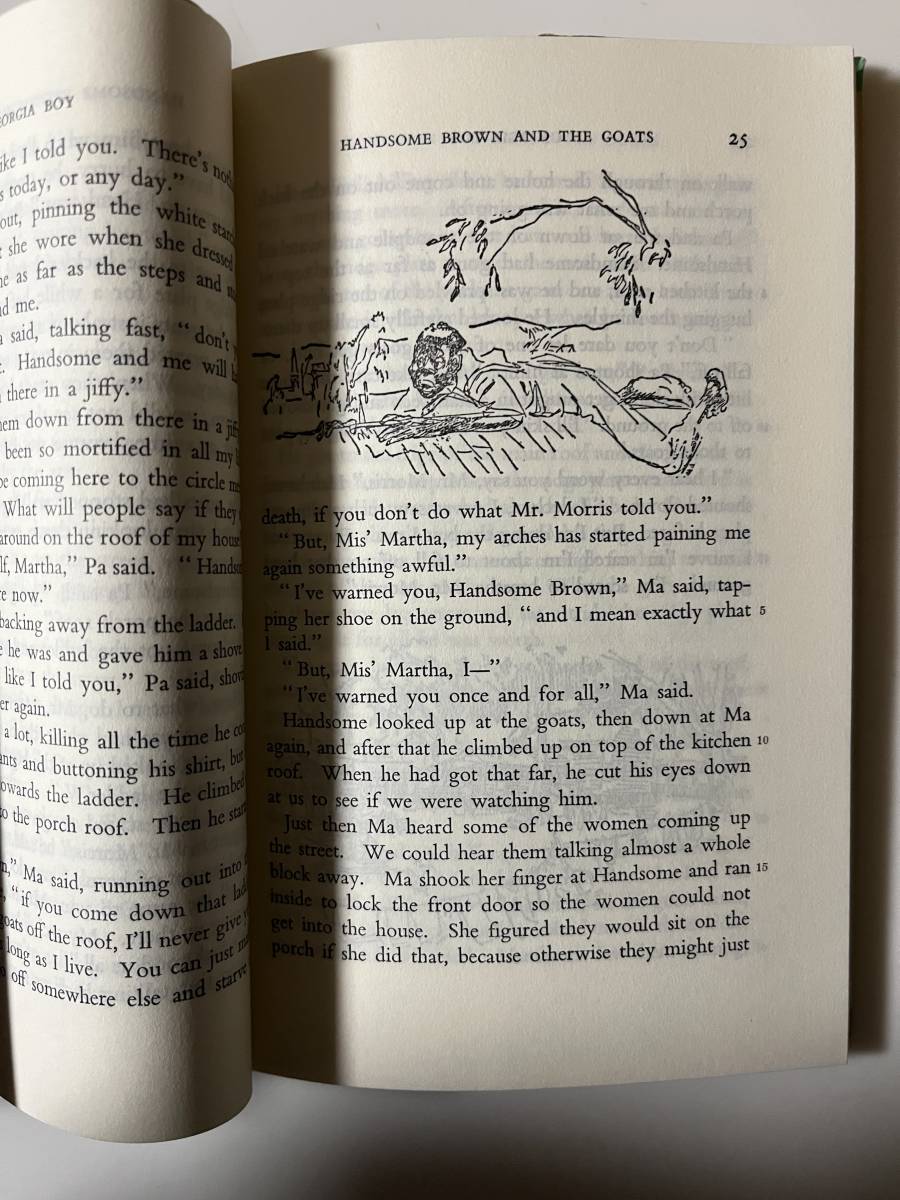 英文注釈　コールドウェル『ジョージア　ボーイ』（研究社小英文叢書、1991年、14版)。カバー付。120頁。_画像3