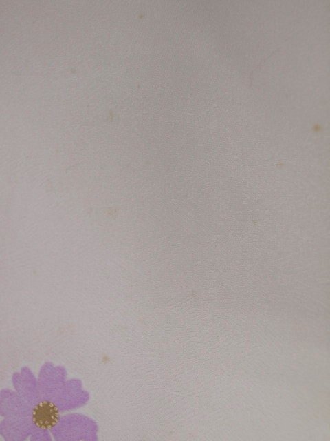 正絹振袖　美品　2030　アイボリー/赤紫　枝垂れ桜・蝶【中古】_シミあり
