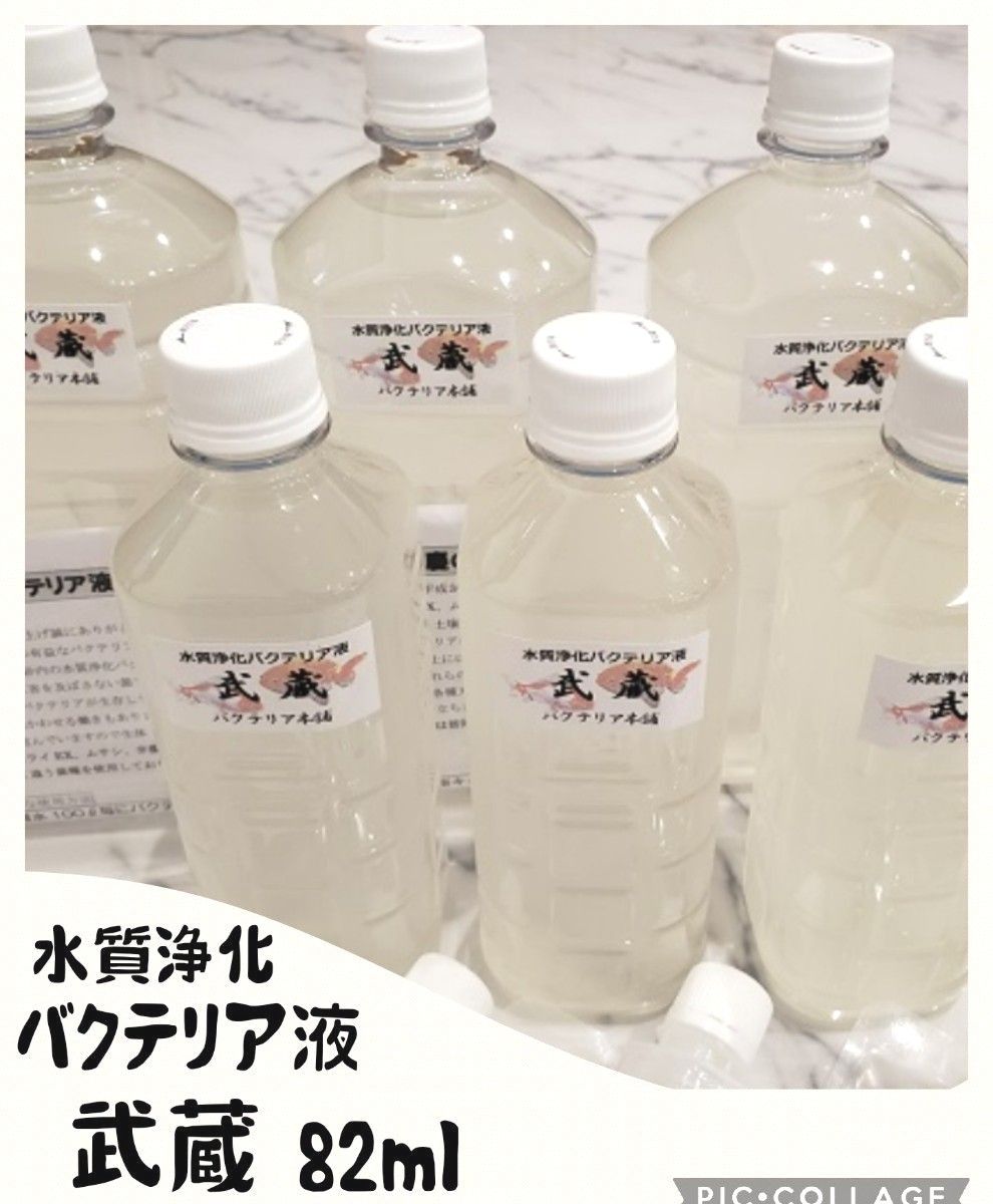 水質浄化バクテリア液  武蔵  お試しサイズ82ml