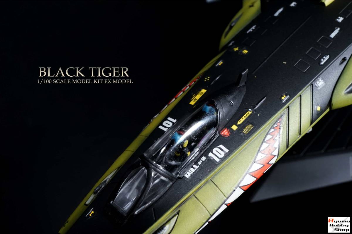 1/100 Black Tiger ( flight form )① EX model # Uchu Senkan Yamato #BLACK TIGER painting / final product 