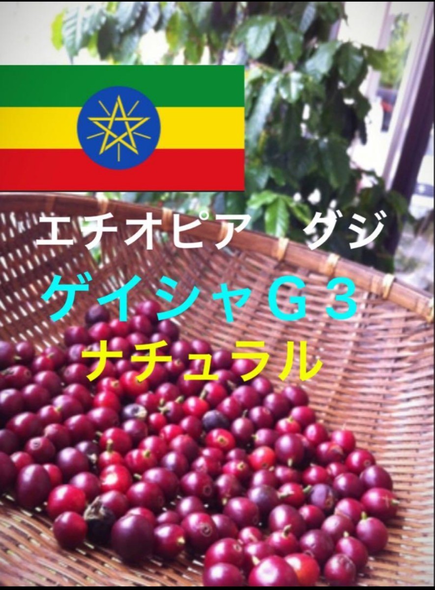 エチオピア　ゲイシャＧ3コーヒー生豆1kg焙煎してません！簡単なハンドピック済み！美味しいです！_画像1