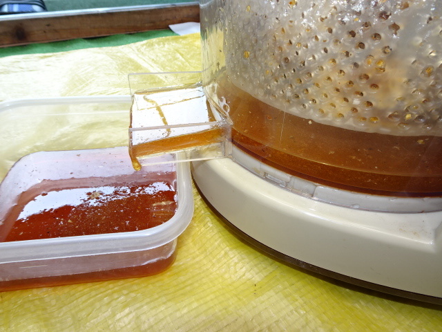 二ホンミツバチ 蜂蜜 電動 遠心分離器　簡単に搾る / 養蜂器具 蜂蜜抽出器 蜂蜜 日本蜜蜂 ハチミツ 分蜂 採蜜_画像2