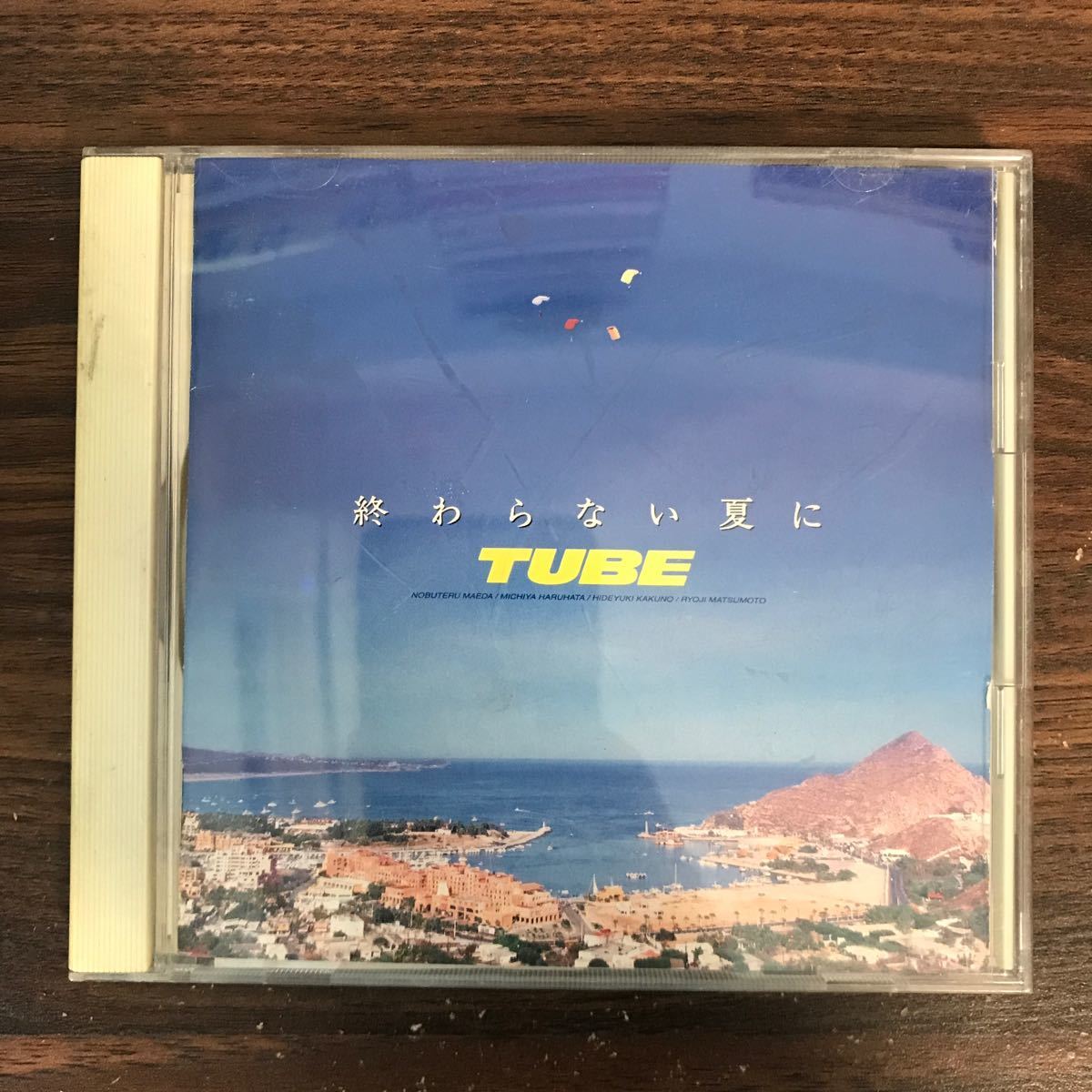 D490 帯付 中古CD100円 TUBE 終わらない夏に_画像1