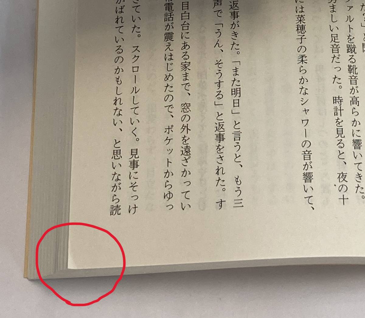 『私の男』、桜庭一樹、株式会社文藝春秋(文春文庫)