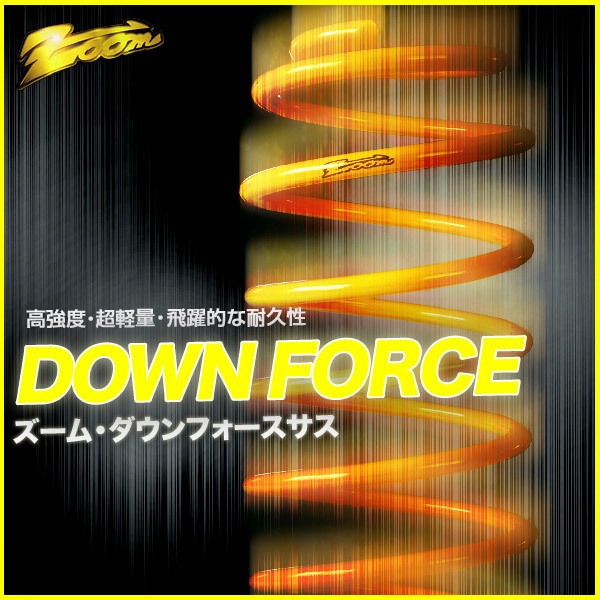 ダウンサス ホンダ アヴァンシア TA3 J30A 2WD 3.0L H11/9~H15/7 1台分・前後セット【送料込】 ZOOM サスペンション