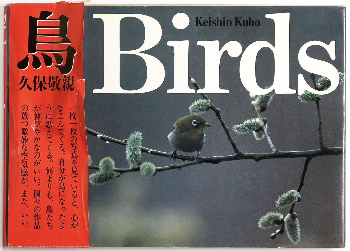 【送料無料】 久保敬親　「鳥 Birds」＆「野生 Animals」　写真集2冊まとめて　山と渓谷社_画像2