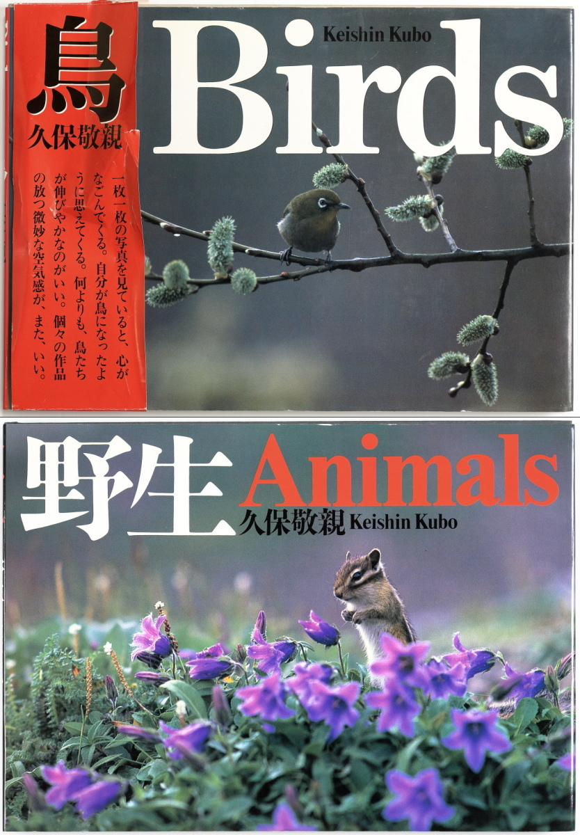 【送料無料】 久保敬親　「鳥 Birds」＆「野生 Animals」　写真集2冊まとめて　山と渓谷社_画像1