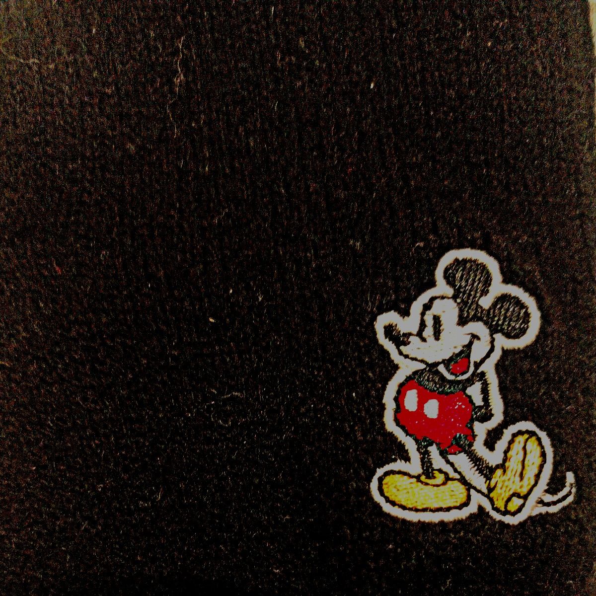 ディズニー 手袋 ニットグローブ ミッキーマウス ガーデニングにもおすすめです！