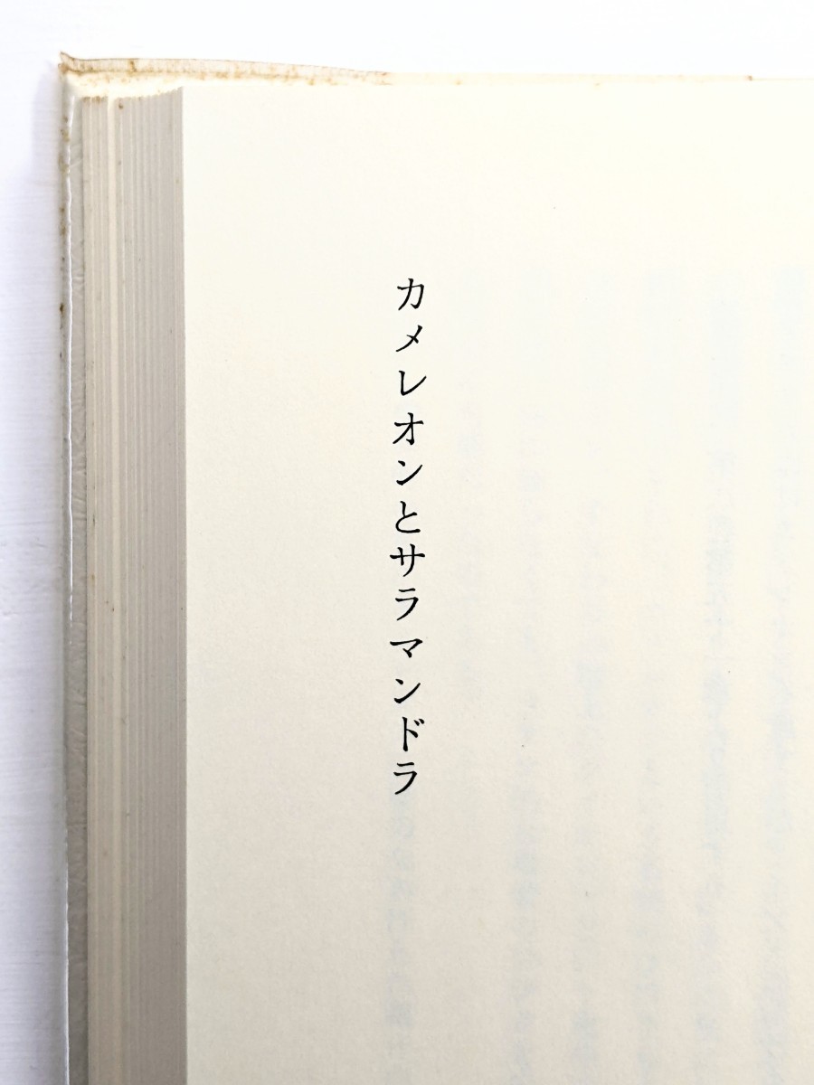 私のプリニウス　澁澤龍彦著　青土社　初版 1986年_画像6