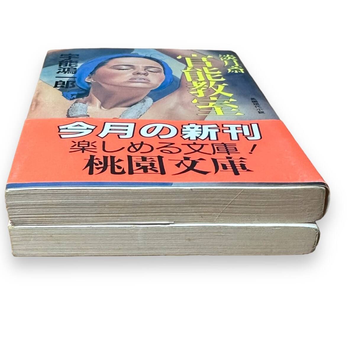 B-146【昭和の官能小説2冊セット】「淡月斎　官能教室」宇能 鴻一郎 (著)/「女医監禁」麻耶 十郎 (著)　現状品_画像6