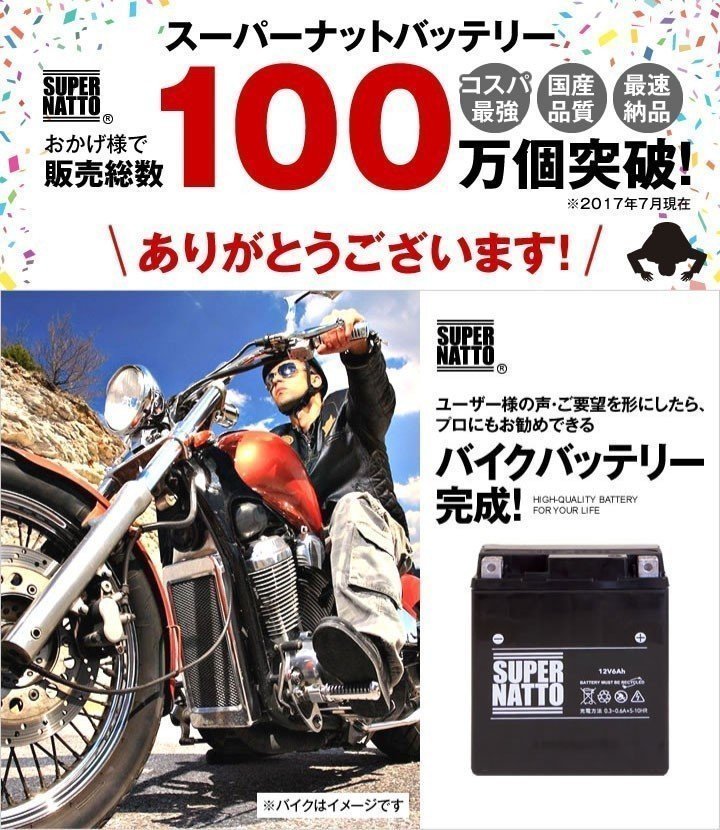 充電済）バイク用バッテリー バンディット1250 ABS GSX1300R ハヤブサ GSX-S1000対応 スーパーナット ST12A-BS(シールド)_画像8
