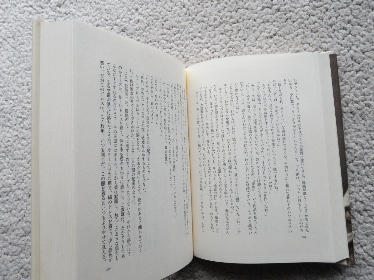 カミーユ・クローデル (文藝春秋) アンヌ・デルベ、渡辺 守章訳_画像9