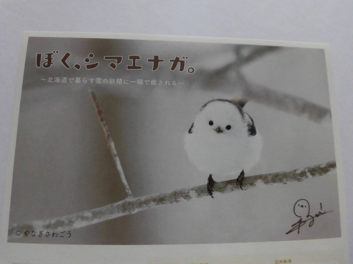 ぼく、シマエナガ。　～北海道で暮らす雪の妖精に一瞬で癒される～　フレーム切手セット　★1セット★_画像3