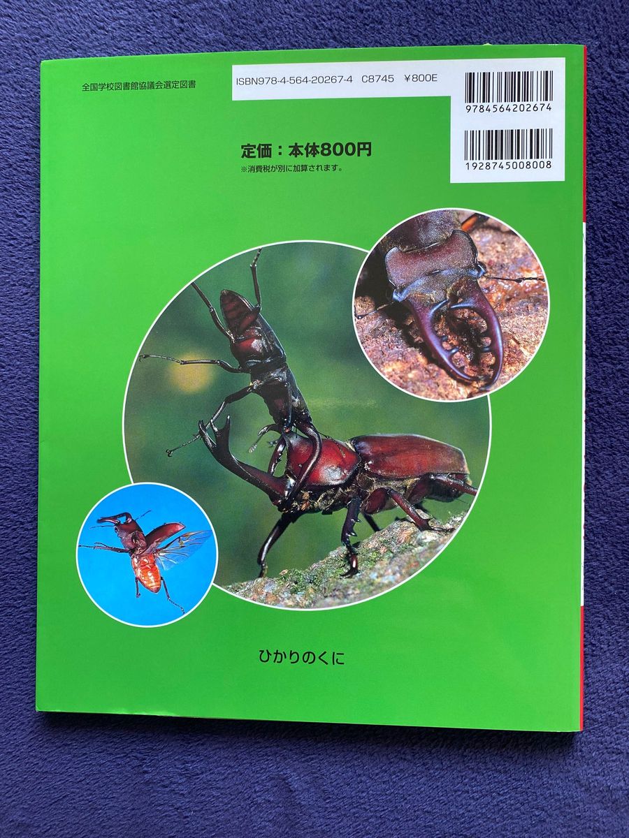 カブトムシクワガタムシのひみつ （しぜんひみつ図鑑　１） 今森光彦／写真・文