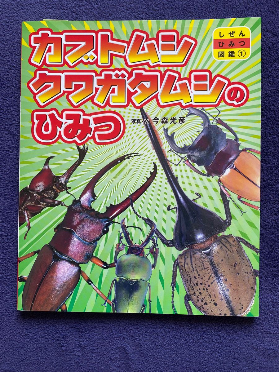 カブトムシクワガタムシのひみつ （しぜんひみつ図鑑　１） 今森光彦／写真・文