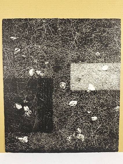 中林忠良版画額「転位'85 地II」 エッチング/アクアチント 1985年作 限50 サイン有 「中林忠良銅板画集（阿部出版）」No.303の画像2
