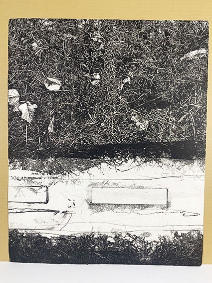 中林忠良版画「転位'95　地IV（流れ）」　2枚組　各62.5×50　エッチング/アクアチント　限50　サイン有　1995年作　Tadayoshi Nakabayashi_画像5