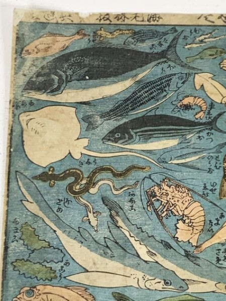 「志ん版魚づくし」浮世絵　36×23.5　錦絵　木版画　魚_画像4