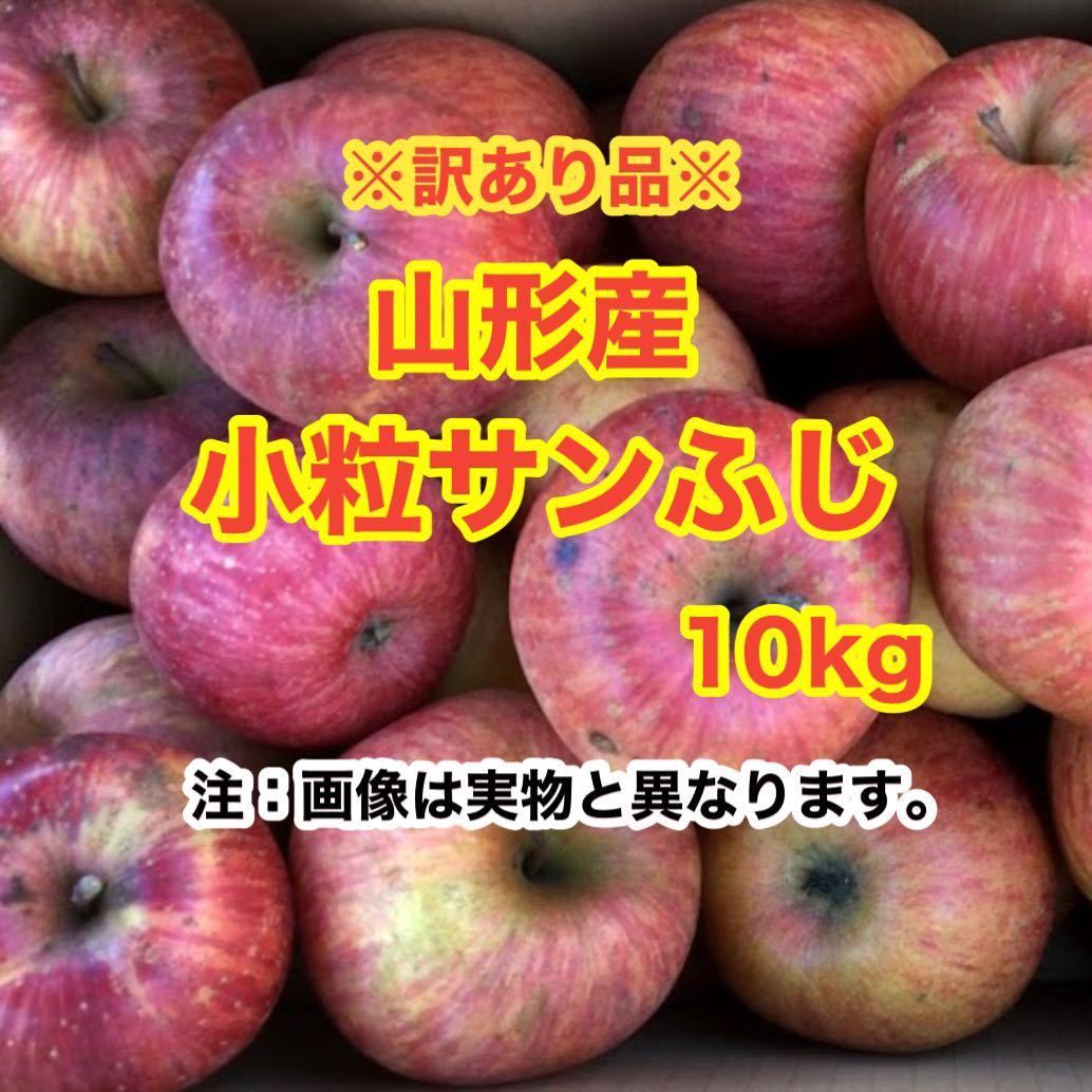 b3山形産りんご 小粒サンふじ 10kg〈訳あり家庭用〉_画像1