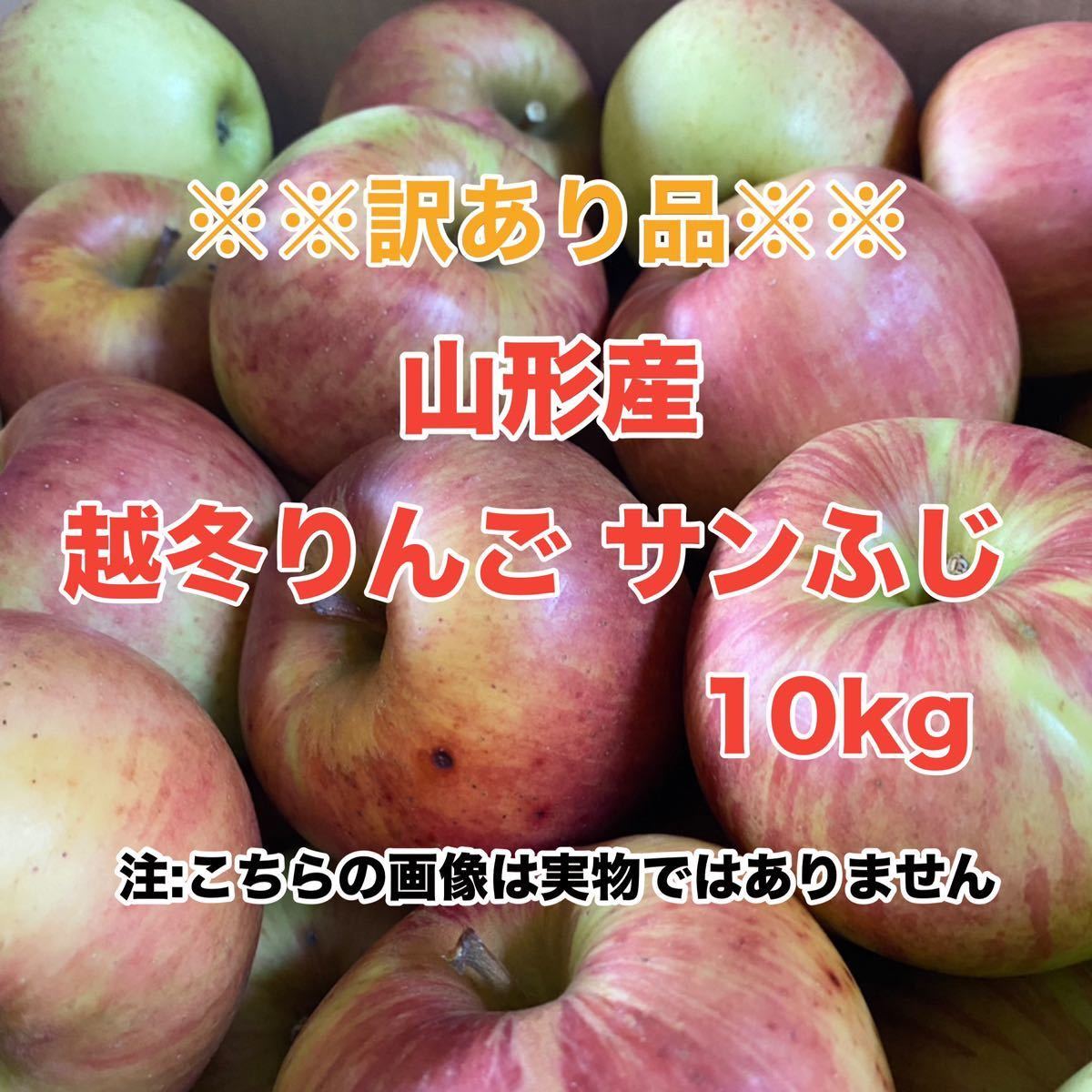 a2山形産 越冬りんご サンふじ 10kg〈訳あり家庭用〉_画像1