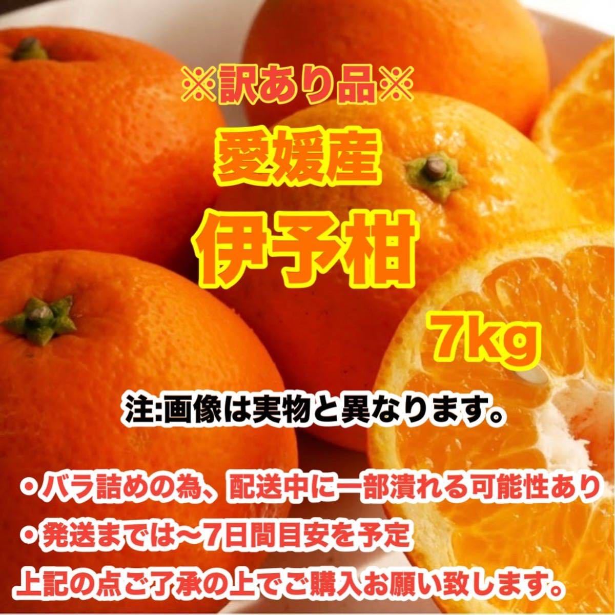 e7愛媛産伊予柑 7kg〈訳あり家庭用〉_画像1