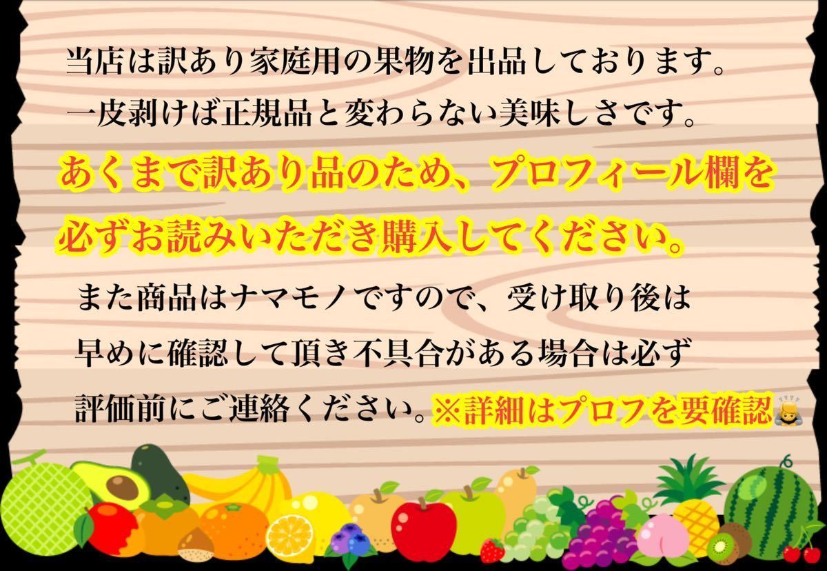 a7山形産 越冬りんご サンふじ 10kg〈訳あり家庭用〉_画像2