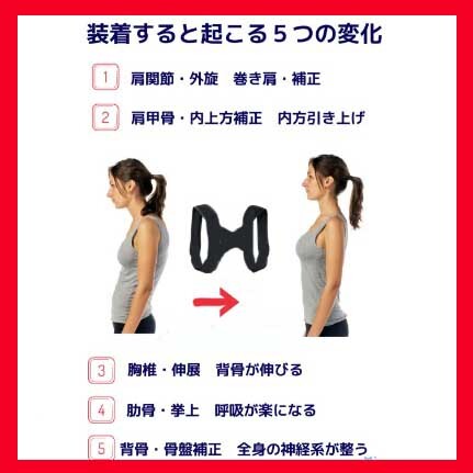 姿勢矯正ベルト フリーサイズ 背筋補正 猫背矯正 サポーター 女性用 男性用 新品即決※送料無料！_画像3