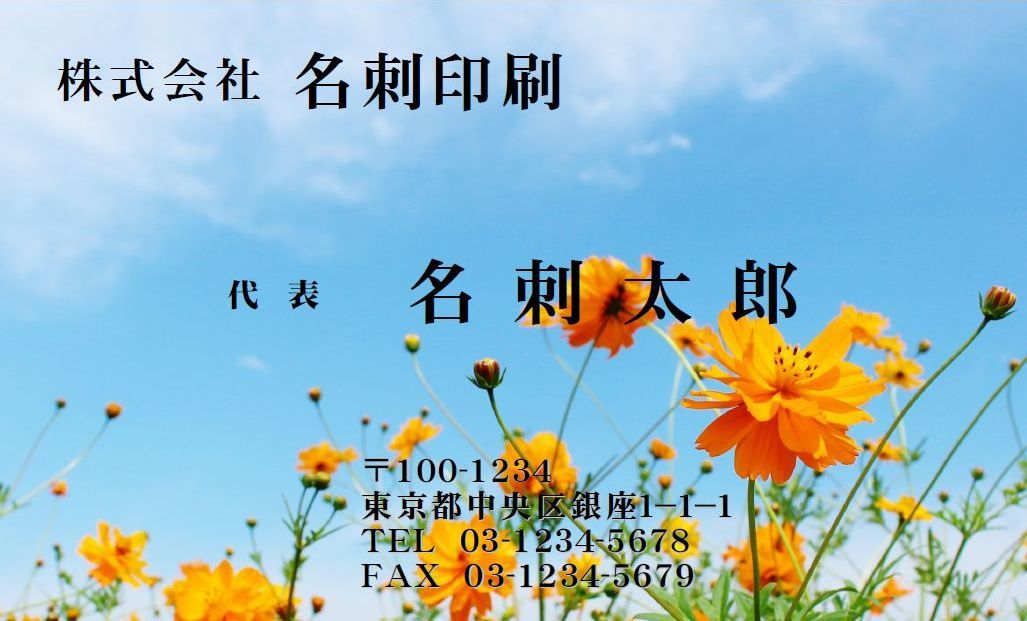 ★フルオーダー名刺作成 ロゴ・写真・QRコード無料 フルカラー１箱100枚900円 プラケース付 ★ _画像1