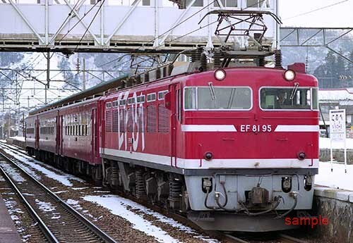 【鉄道写真】EF81 95＋50系 [9005084]_画像1