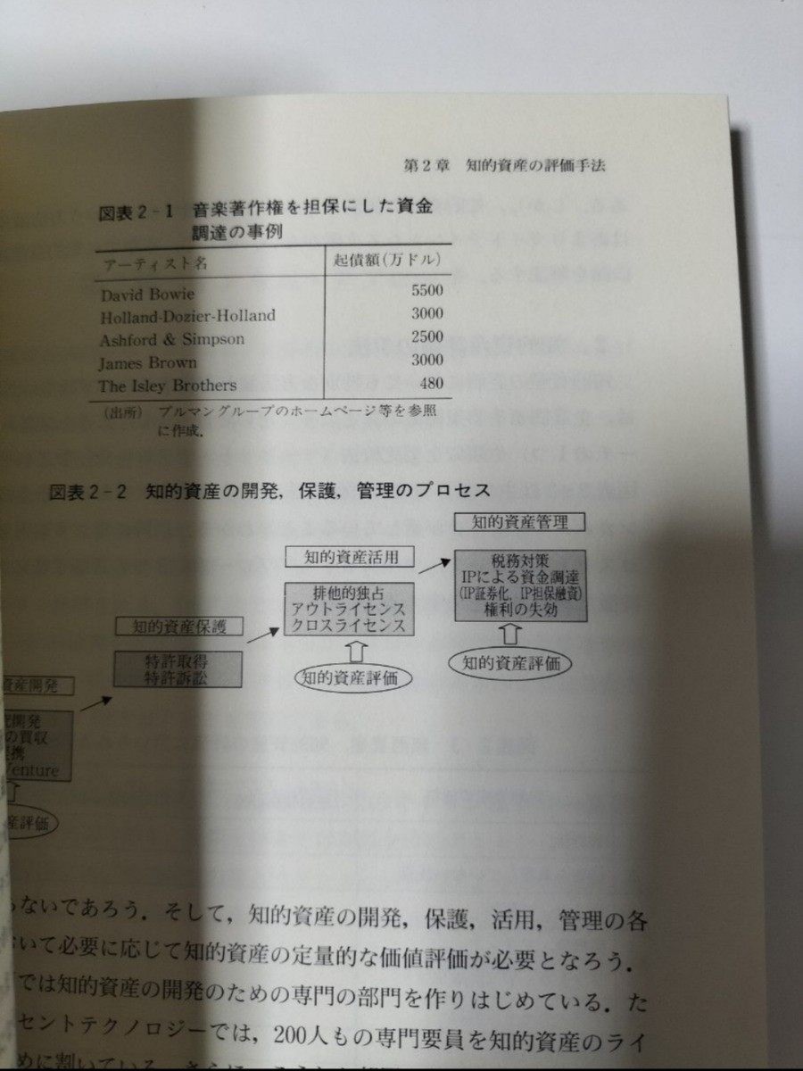 【図書館除籍本1204】入門知的資産の価値評価 山本大輔／著　森智世／著【図書館リサイクル本1204】【除籍図書猫】