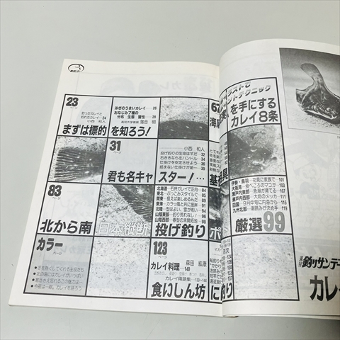 釣りサンデー別冊魚シリーズ/カレイ/グレ/チヌのすべて/3冊セット/昭和56年～59年_画像5