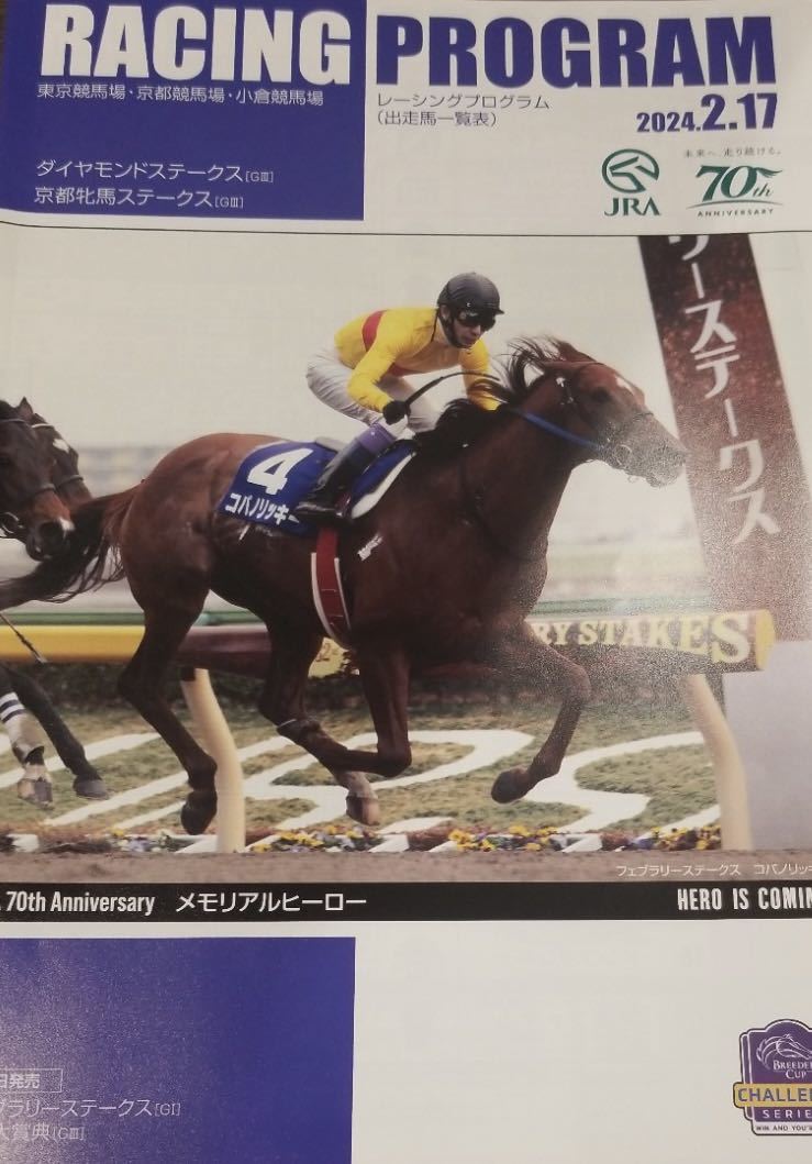 ２ шт. 　 racing   pro  грамм  　　 алмаз S ,   Киото ... лошадь  S  предыдущий день ...S 2024 год 