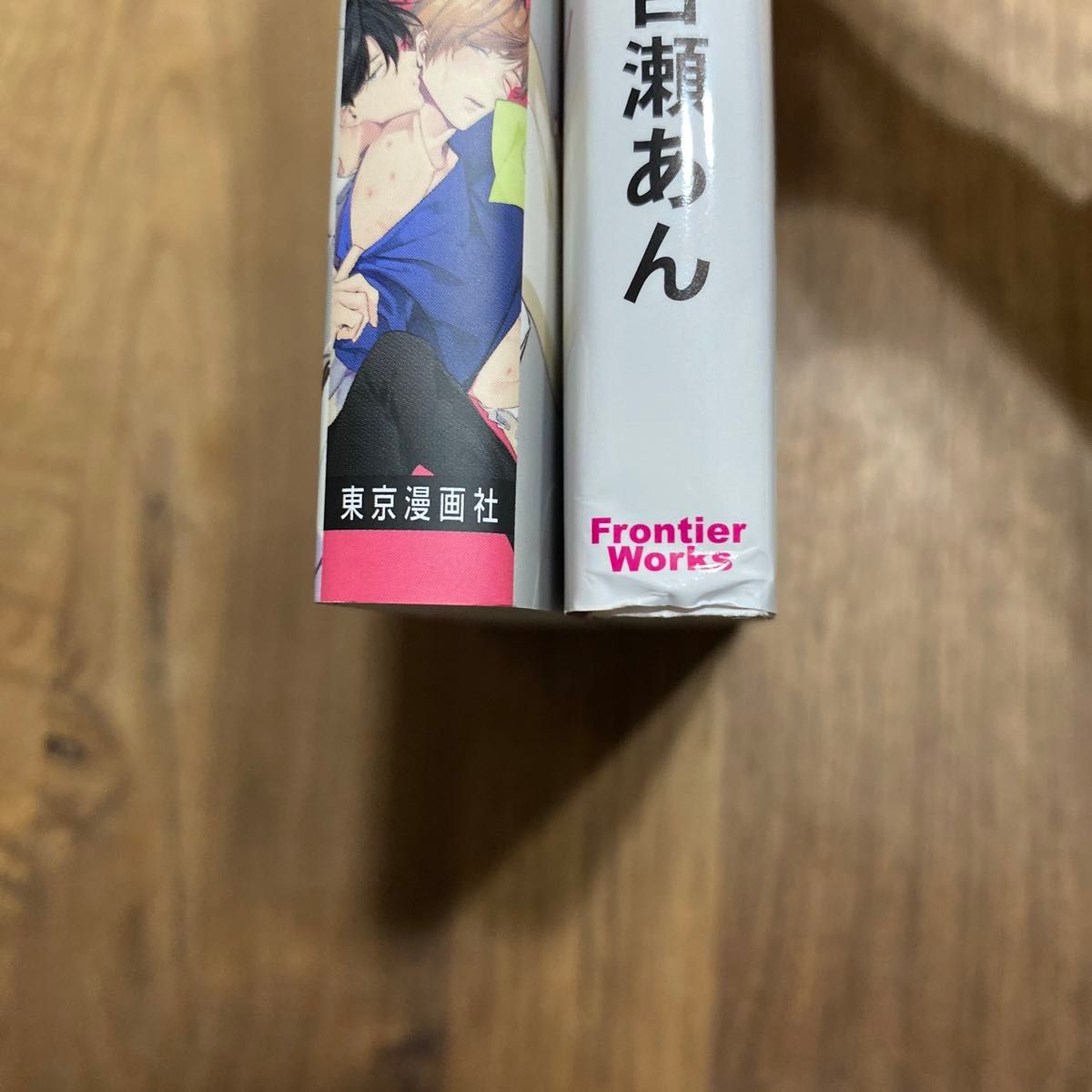 愛されたがりのサーフェイス　ドS先生に愛されてたまるか　百瀬あん　バラ売り不可　追加OK