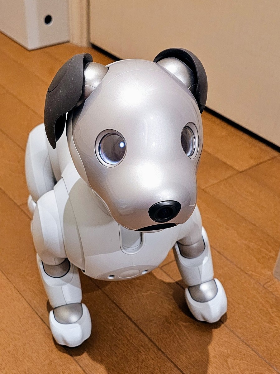 SONY アイボ aibo ソニー 犬型 ロボット ERS-1000 本体+充電器+ボール+アイボーン_画像1