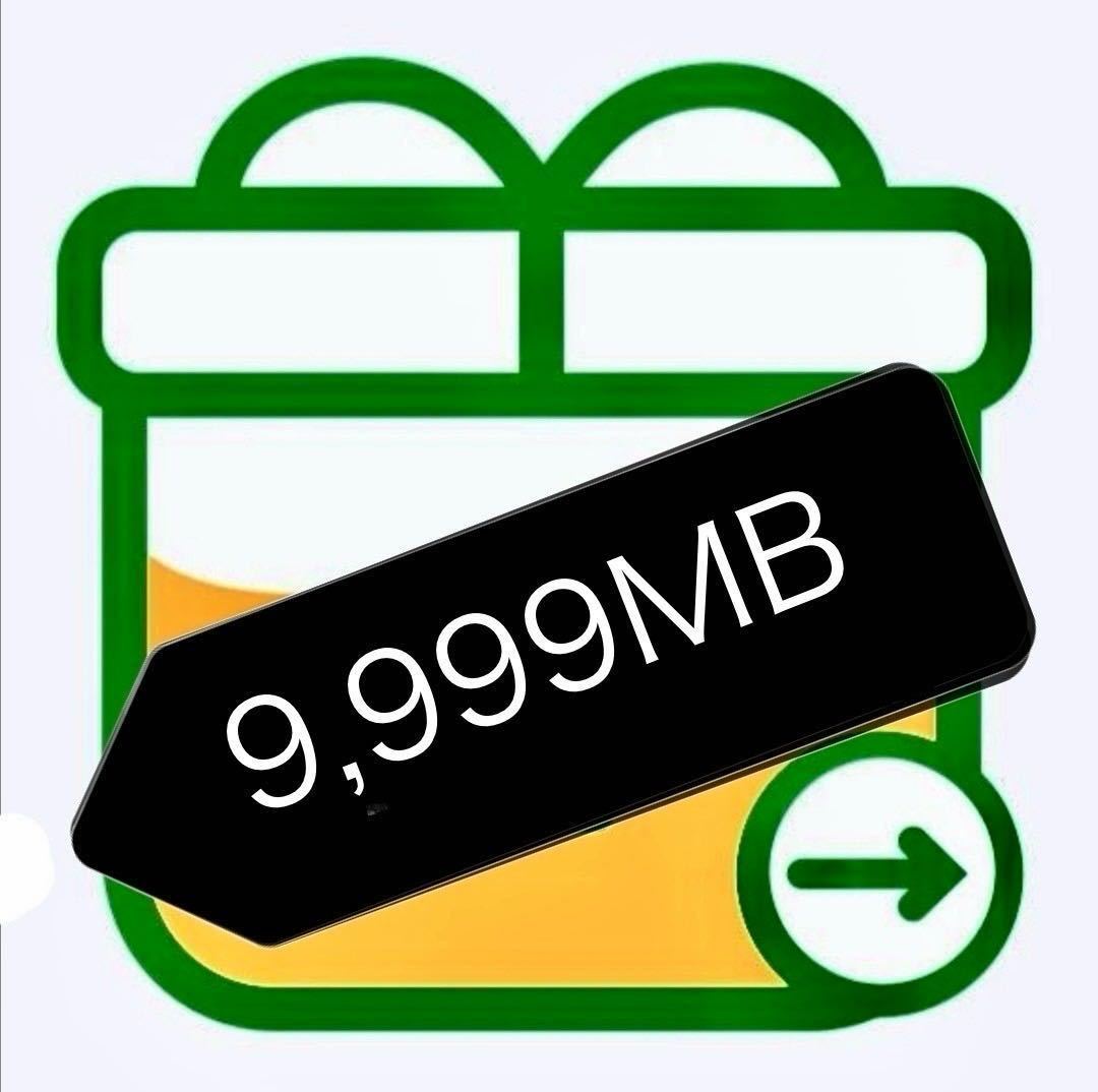 パケットギフト 約10GB（9,999MB）★_画像1