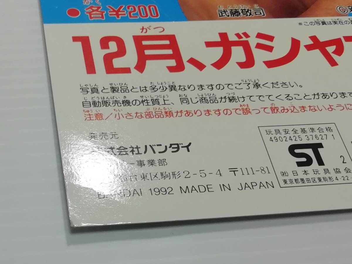 『当時もの放出！』ガチャガチャ ガシャポン 台紙 「新日本プロレス」カプセルTOY・ディスプレイ 長州力 闘魂三銃士 獣神サンダーライガー_画像6