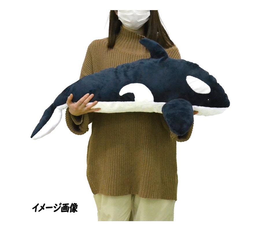 BIGぬいぐるみ 海の生き物 アニマル シャチ リアル ぬいぐるみ ふわふわ BIG ラッピング不可 04_画像5