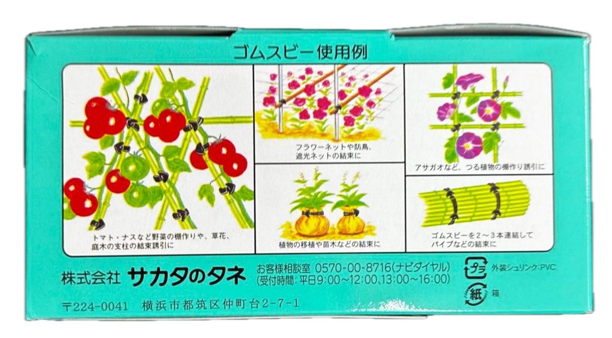 サカタのタネ ゴムスビー ５０本　種のおまけ付き