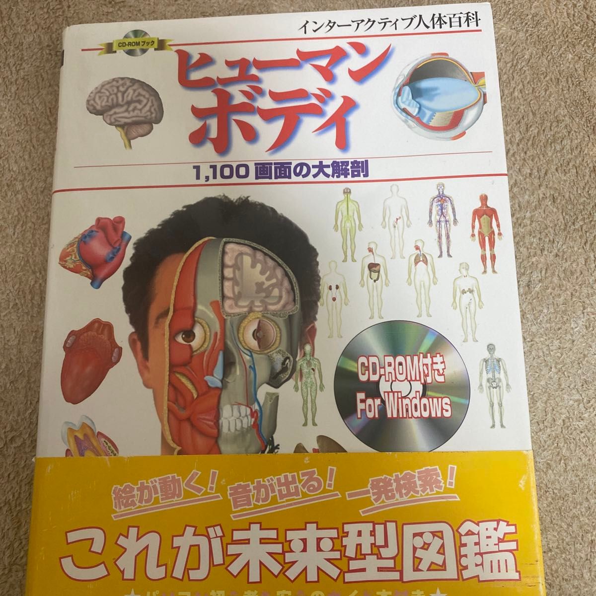 ヒューマンボディ　インターアクティブ人体 （ＣＤ－ＲＯＭブック） ＤＤＰ　編