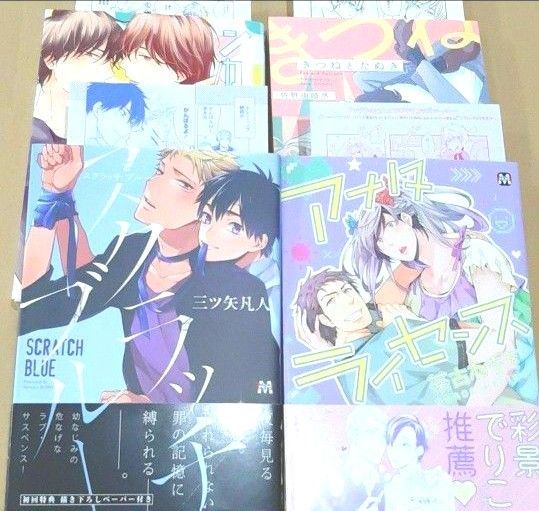 BL  12冊セット ペーパー付き有 マンガ ボーイズラブ  本 漫画 マンガ