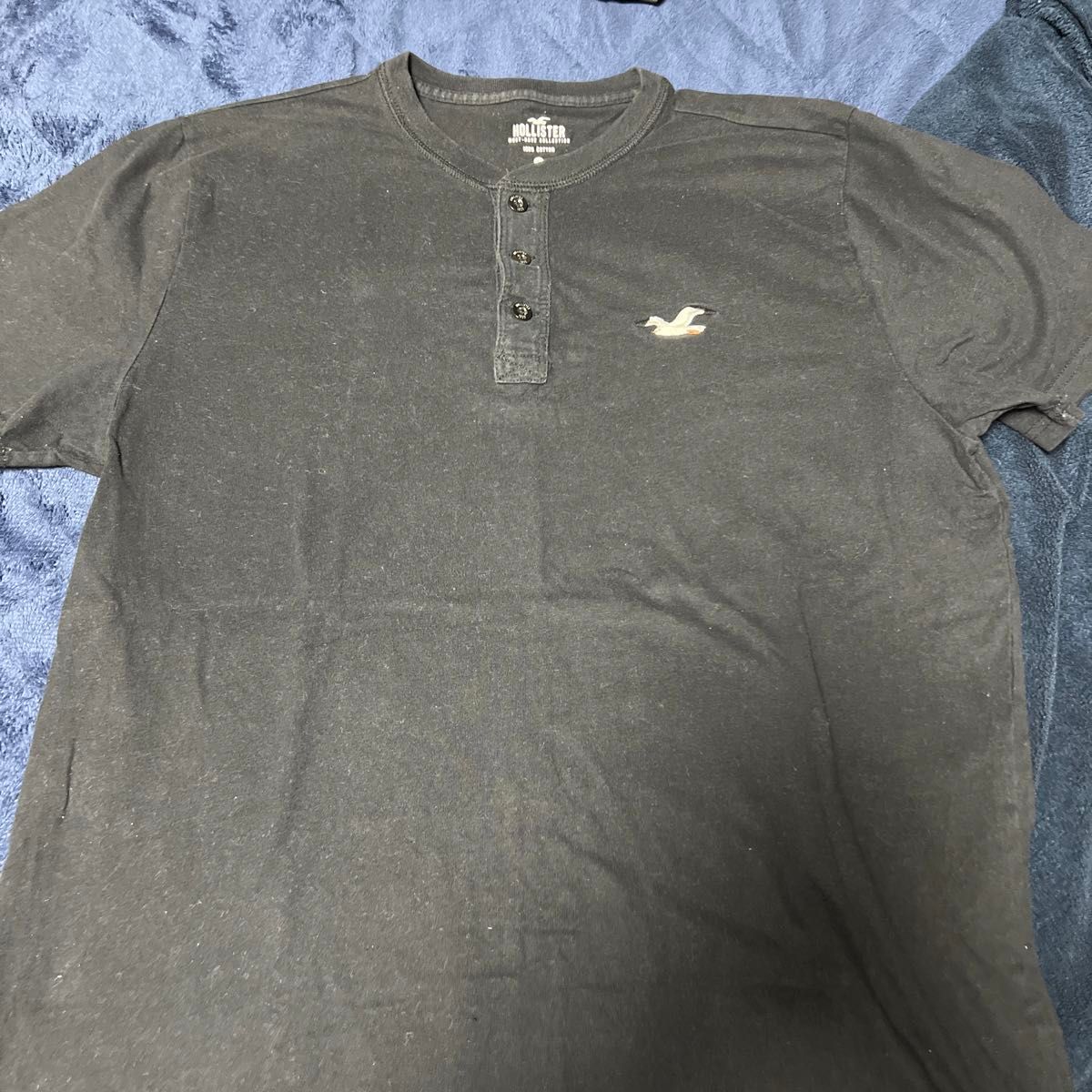 Hollister 黒 Tシャツ