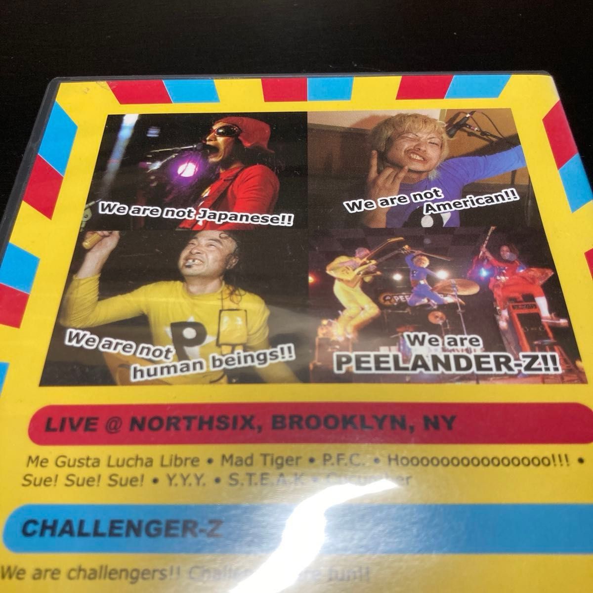 希少！PEELANDER-Z  live DVD 2007 パンクバンド