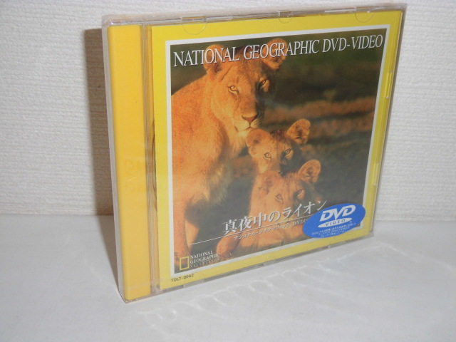 2306-2274◆新品 ナショナル・ジオグラフィック DVD 真夜中のライオン_画像1