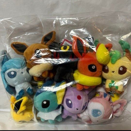 ブイズ全種セット ポケモンドールズ もっちりマスコット ブイズ全種セット ポケモンドールズ もっちりマスコット
